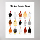 Search for chicken breeds posters Poultry