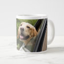 Recherche de puppy tasses Fenêtre