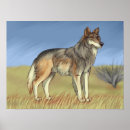 Search for wolf posters Endangered
