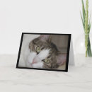 Recherche de pensivement Chats