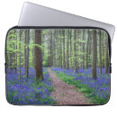 Search for beech electronics Landscape