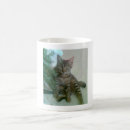 Search for lolcats mugs Funny