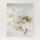 Recherche de cerisiers puzzles Floraisons