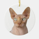 Search for sphynx cat ornaments Animal