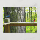 Search for bunting postcards Birds