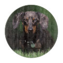 Recherche de image de couleur planches à découper Animal