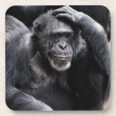 Recherche de gorille dessous de verres Drôle