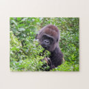 Recherche de gorilla puzzles Animal