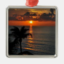 Recherche de cancun ornaments Tropical