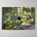 Search for black bear posters Hiking
