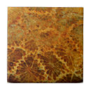Search for fossil tiles Gemstone