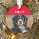 Search for bernese mountain dog ornaments Dogs