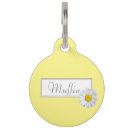 Search for daisy pet tags flower