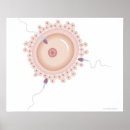 Search for mutation posters Medical