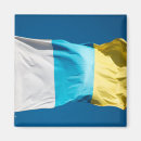Recherche de les canaries magnets Bleu