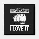 Recherche de ceinture magnets Kung fu