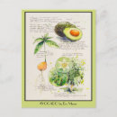 Recherche de illustrations botaniques cartes postales Plante
