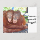 Search for affection postcards Hugs