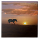 Recherche de beaux arts carreaux Cheval