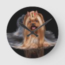 Recherche de yorkshire horloges Terrier de yorkshire
