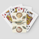 Search for fancy playing cards Sea