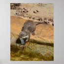 Recherche de étang posters Faune