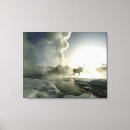 Search for yellowstone national park canvas prints Snow