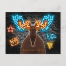 Recherche de vie nocturne cartes postales Animal