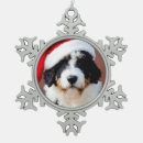 Search for bernedoodle ornaments Funny