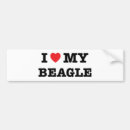 Search for beagle bumper stickers Dog