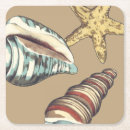 Recherche de étoiles mer dessous de verres Conque