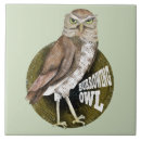 Recherche de chouette carreaux Oiseau