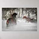 Recherche de cheval de marche du tennessee posters Course