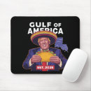 Search for gulf electronics Politics