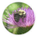 Search for bumble bee knobs and pulls Insect
