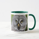 Search for hoo mugs Owl