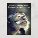 Search for funny monkey postcards Wildlife