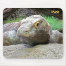 Search for dragon scale mousepads Lizard