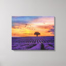 Recherche de paysages art Beaux