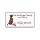Search for labrador retriever return address labels Pet