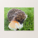 Search for hedgehog puzzles Animal