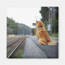 Search for train magnets Railroad track