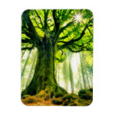 Search for tree trunks magnets Woodland
