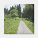 Search for forest path magnets Adventure