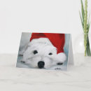 Recherche de westie christmas cards Montagne
