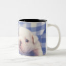 Recherche de seau tasses Tir de studio