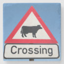 Search for communication coasters Animal