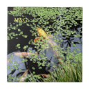 Search for carp tiles Pond