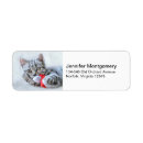 Search for family with cat return address labels Animal