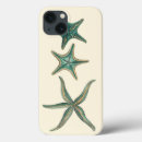Search for starfish cases Sea life
